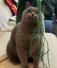 ����14���è�����������ˣ������ƤС���