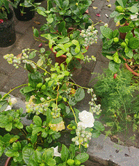 ����������ĩ̫�ù��ˣ��¼�10��ݮ45����2Ԫ