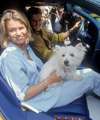 ���Ӽ�����������հ�����������8�������ȷ��ܼ�ֵԼ400����Ԫ