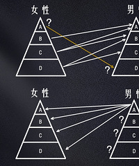 ڵĻгеԺŮԶΪABCD