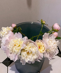 ǿ���Ĵ�������ذ���ҩ��10֧23Ԫ����һ��