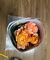 �̲�ס13.8�������¼������ָ���ô������֧��