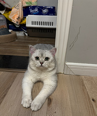 è�����󶼻����𣬺����ݵö���������ͷ��