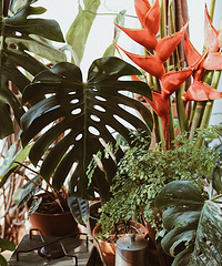 ��̨������Ļ�����������ֲ��԰��Ŀ�������