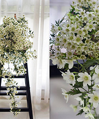 ��������������������״���ٲ�һ��