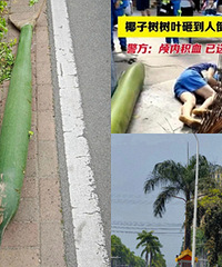 �����̻���������ô�������ܰ�������