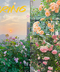 ���Լ�ͯ����԰�￴Ϧ�����գ�������