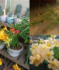 5�OС��̨��Ҳ��ʵ�����л����ɣ�