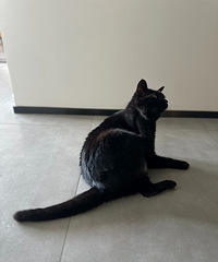 è��̫�ӡ������ɣ�����2���һأ���С������2¥