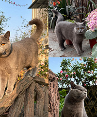 èÿ��������ǹ仨԰�����һ�����