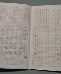 孩子智商80,中度自闭,现在对他完全无要求