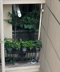 高层小阳台也有春天,空调机位和生活阳台利用起来