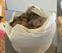 ������10���èë�����˴����ӣ��޸���˵��ů��