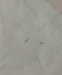 [����]���������Ѷ��������мٽ�ë�����ǲ��������⣿