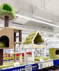 ɽķ��è����̫�ÿ��˰ɣ������ɫһ������ס��