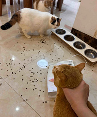 è�ɻ��±�ץ�������˼��ﴰ����͵��ͬ�±��ӵ�ˮ