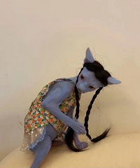 ����һֻ��ëè������������ϴ���鷳����Ȱ��