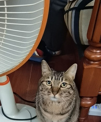 91176CMƲȾƵĸ飬ϣԷ90~97