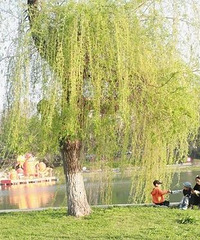 [��ʵ]���Ͼ���������ˣ���������ͨ�˵�����ܶ�С����