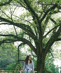 ��һȥ�����ѽ��������ѽ