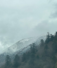 五一走碧峰峡-夹金山-四姑娘山-卧龙避开人群