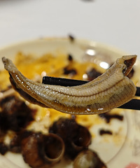 ������������˾������죬���������˾�������