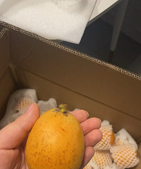 [��ʳ]�����������һ�����ۺ��㵰�����ǻؼҳ�����Щ��ζ��