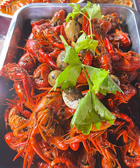 ����һҹ����֮�ã��ʺ�һ���˽���Ѭ�գ���ʳҲ�ܶ�