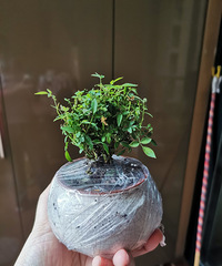 ʮ������ļ��¼���������Ȼ�Ǹ�����棿�ܻ���