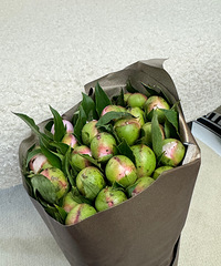 20���©30֧��ҩ�������������ݶ��������