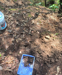 ������ɽ������������2�ڴ��������ֽ��Ӻܺ���