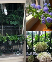 �߲�С��̨Ҳ�д��죬������̨��������