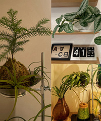 ʵ��ܷ�ֲ����ÿ�������������