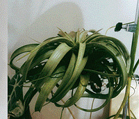 ˼·�򿪣���ʵ��ļ���Ҳ�ܷ�ֲ��ÿ���ռ�ռ�