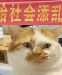 楼上邻居在阳台装卫生间,怎么办?