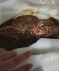 �Ӽ�������Ҷз4ֻ�����з����԰�����