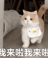 ������ֵ���������ֳ�С����12������ʪ��ֽ40��*3��15