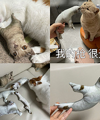 ��è��Ƭ���Ƶ���ż�����ȸ�Ц������