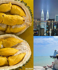 5��4����¡��+�����ף�ÿ��һ������