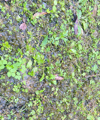 ����ض��ǵ�ľ�����ⶫ�����˳Թ��𣬺ó���