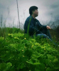 97175CMС飬ϣԷͥг