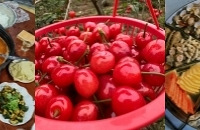 ��һ�������Ҷ�����ʲô�ó��գ�һ��ɹɹ��