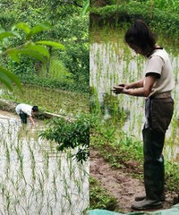 ר�Ŵ���ȥ��������Ŀ���