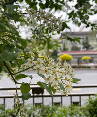 ��ɽ��ˮ��ɳĮ��������ʡ�����У��˾�3000+