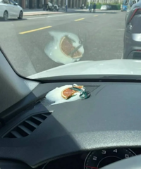 �����˳����Ź�����޹�ˣ���Ȼ���˲��������ɾ�