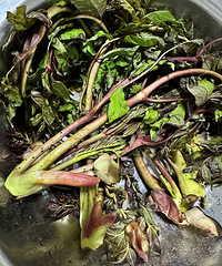 ���ɽ��Ұ�ˣ������ʶ��