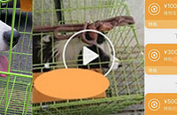 �����ҵ������˰ѹ����ˣ�̬��������вҪ�Թ���