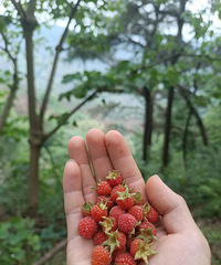 ��ɽ���ˣ�������ܲ��ܵ����ԣ����ߵ�