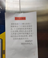 �ھӵ�����÷����̨��͵�ˣ����ĵ���������