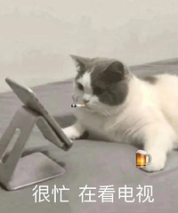 ������ֵ����Unifreeϴ����3��16�������ٸ���װ88